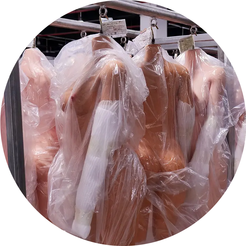 Poupée sexuelle de haute qualité Irontech Doll